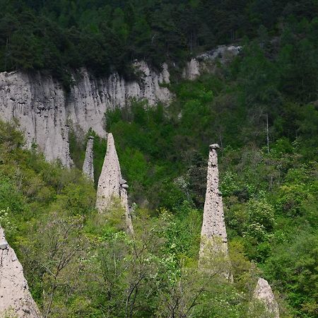 Agritur All'Olivo Faver Екстериор снимка