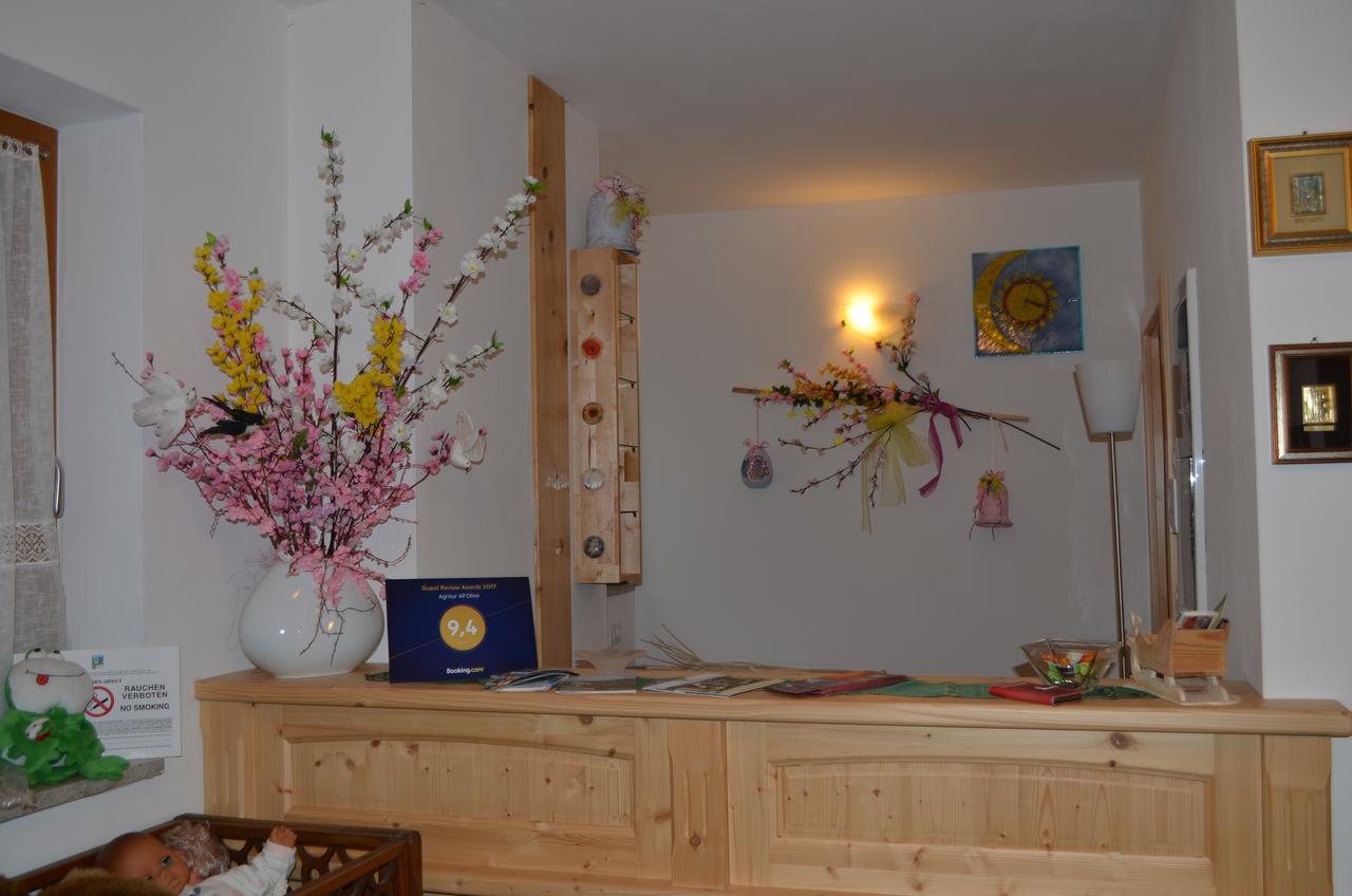 Agritur All'Olivo Faver Екстериор снимка